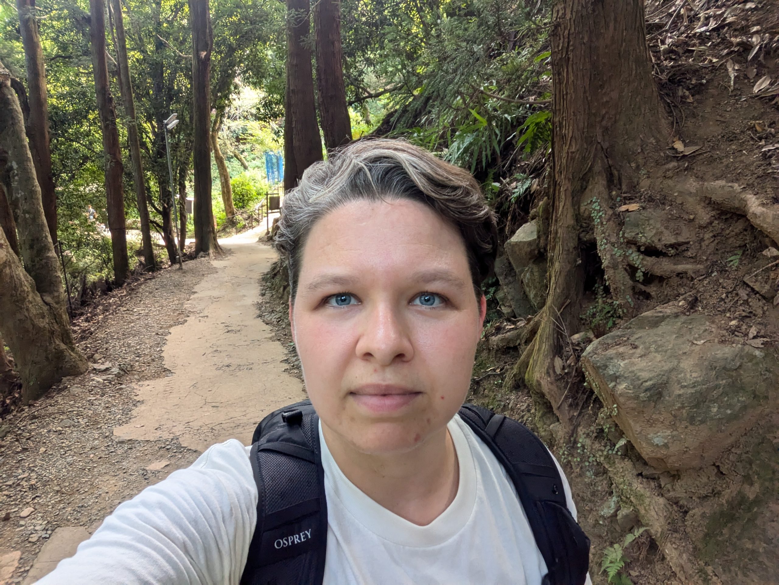 Picture of me in the forest in Japan